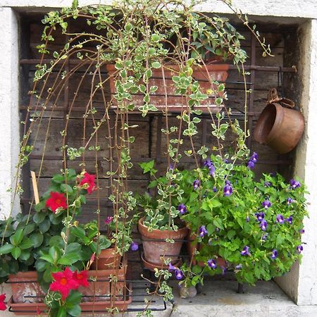 B&B Corte Barbieri Dolcè Zewnętrze zdjęcie